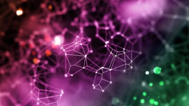 Representation of brain neurons connecting