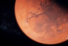 Bacteria Build Structures on Mars