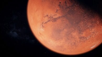 Bacteria Build Structures on Mars