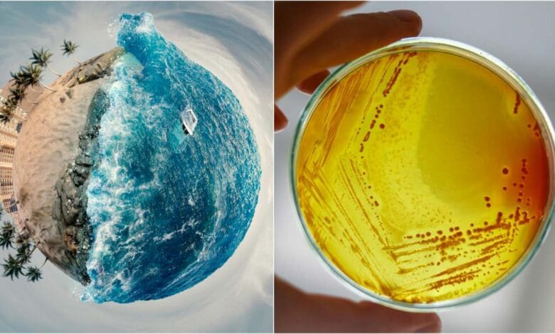 Climate change is causing antibiotic resistance