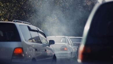 How Air Pollution Can Cause Alzheimer’s: What the Evidence Shows