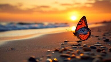 Butterflies Crossed the Atlantic Ocean