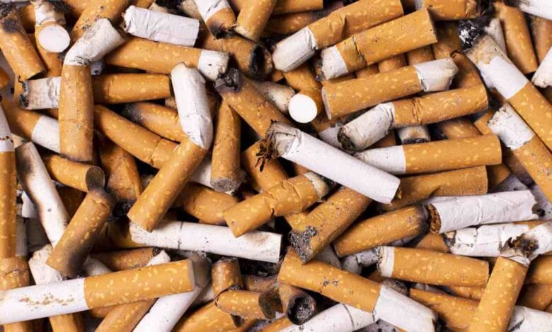 Cigarette Butts Microplastic Pollution