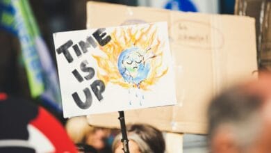 Global warming cause half million deaths