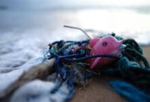 Dolphin toy trapped in trash at sea shore