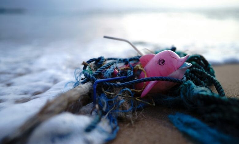 Dolphin toy trapped in trash at sea shore