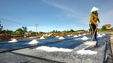 Ocean Losing Salt: How Climate Change Is Reshaping Ocean Salinity