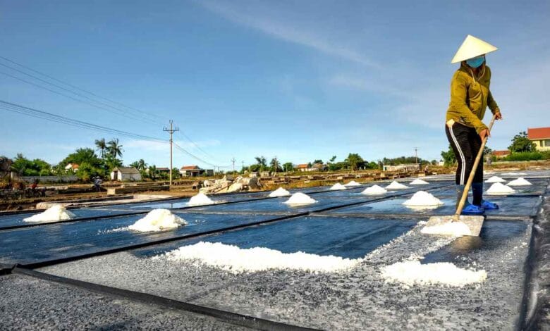 Ocean Losing Salt: How Climate Change Is Reshaping Ocean Salinity