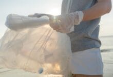 Can Sunlight Turn Plastic Into Vinegar? Here’s How Scientists Did It