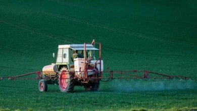 Pesticide Exposure Before Pregnancy and Newborn Health Risks
