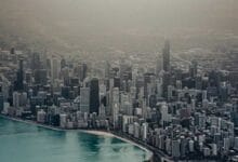 Air Pollution Raises the Risk of Glaucoma and Cataract, 41-Study Analysis Finds
