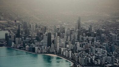 Air Pollution Raises the Risk of Glaucoma and Cataract, 41-Study Analysis Finds